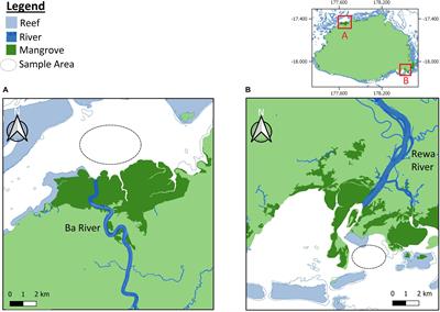 DNA Analysis of Juvenile Scalloped <mark class="highlighted">Hammerhead Sharks</mark> Sphyrna lewini (Griffith, 1834) Reveals Multiple Breeding Populations and Signs of Adaptive Divergence in the South Pacific